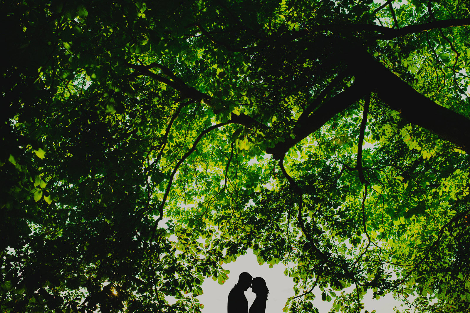 Harkness Park Eolia Mansion wedding