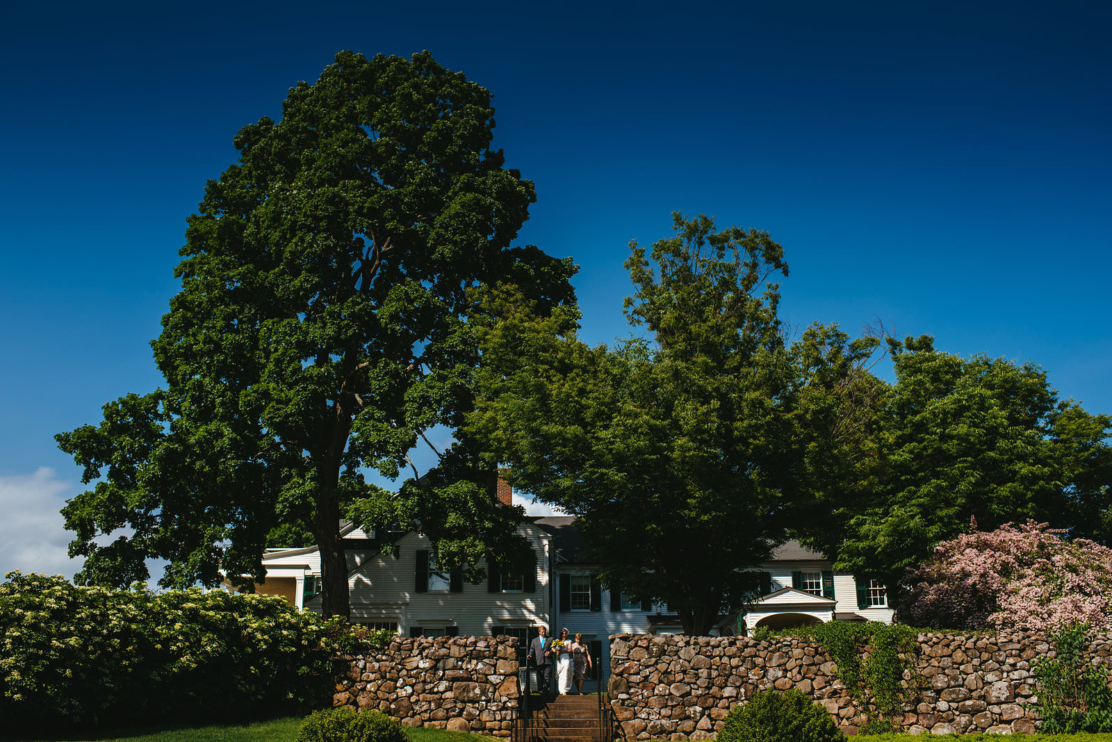 Hillstead museum Farmington Wedding