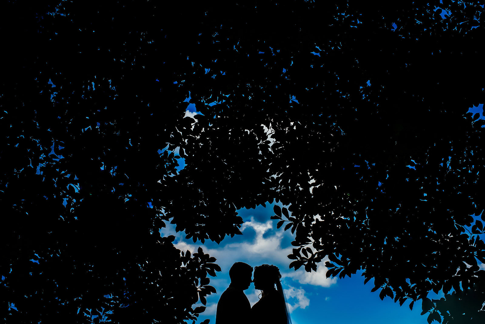 Trinity College Hartford engagement session
