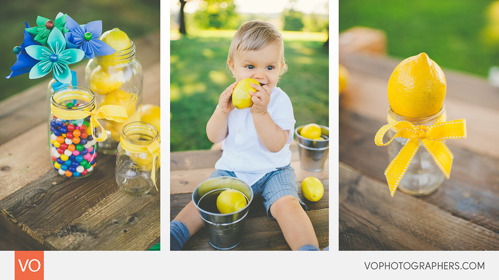 lemonade_stand_mini_sessions_connecticut_0006-vo