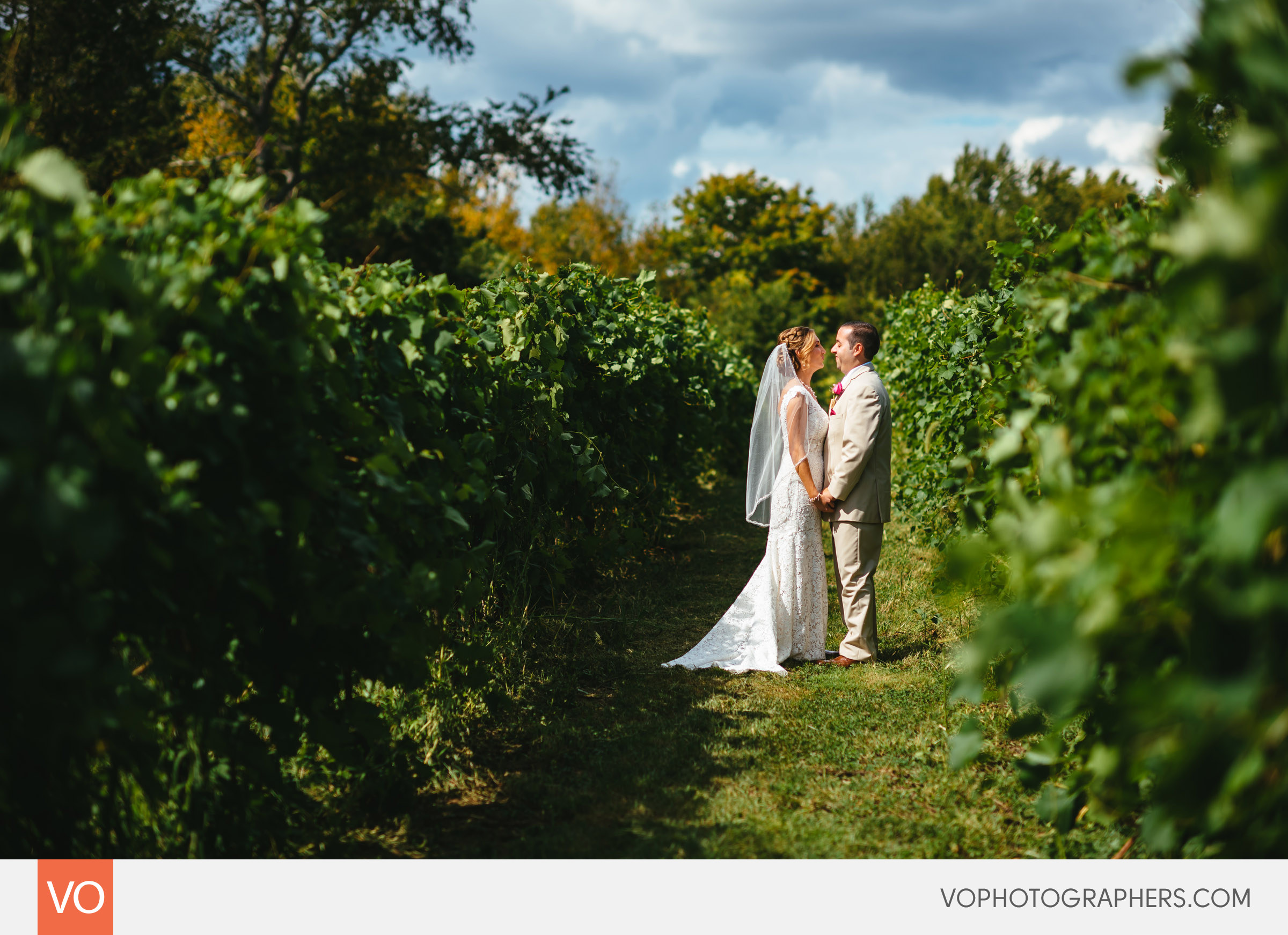 Preston Ridge Vineyard Outdoor Summer Wedding CT