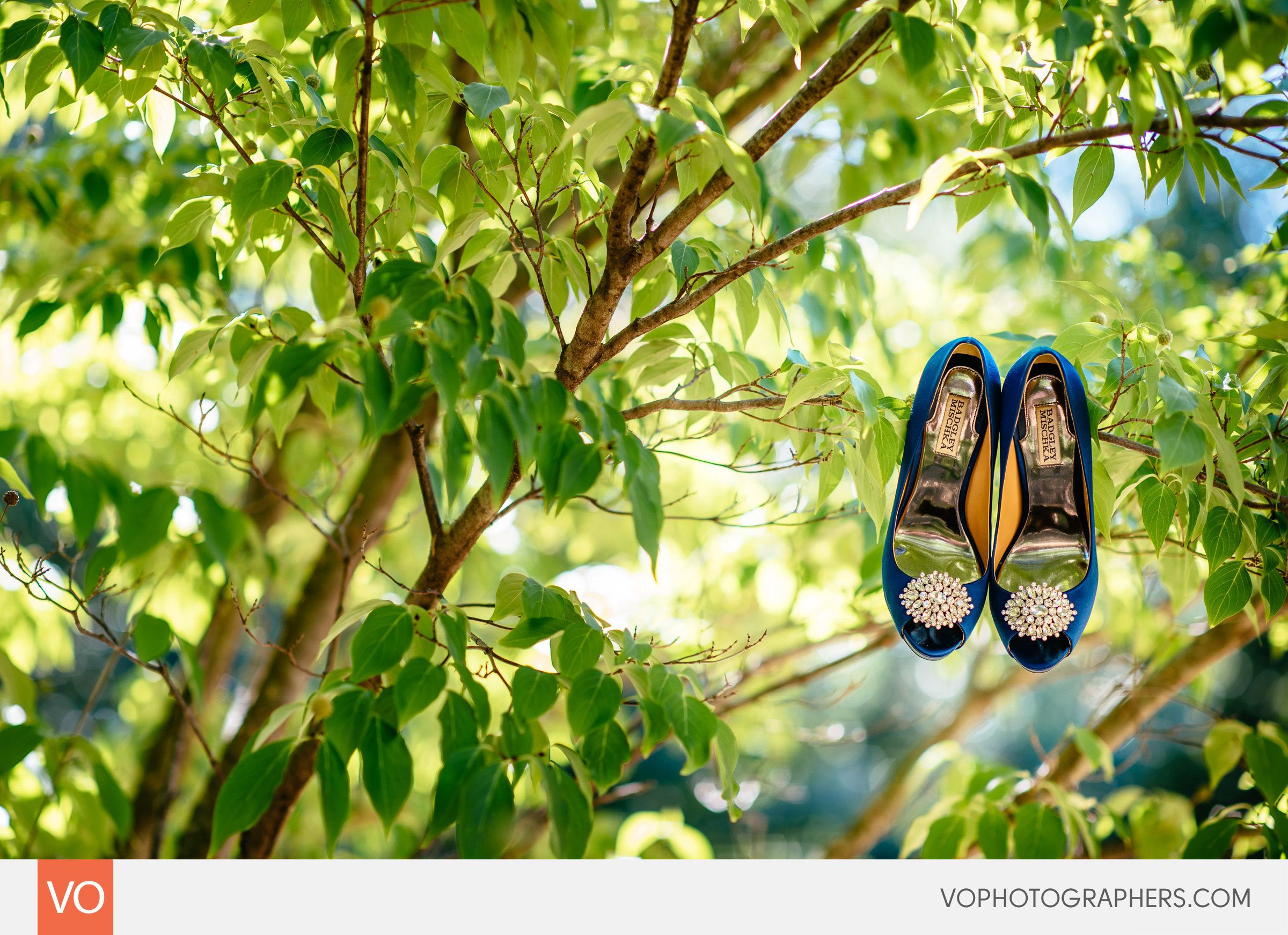 Bridal shoes Bagdley Mischka hanging on a tree