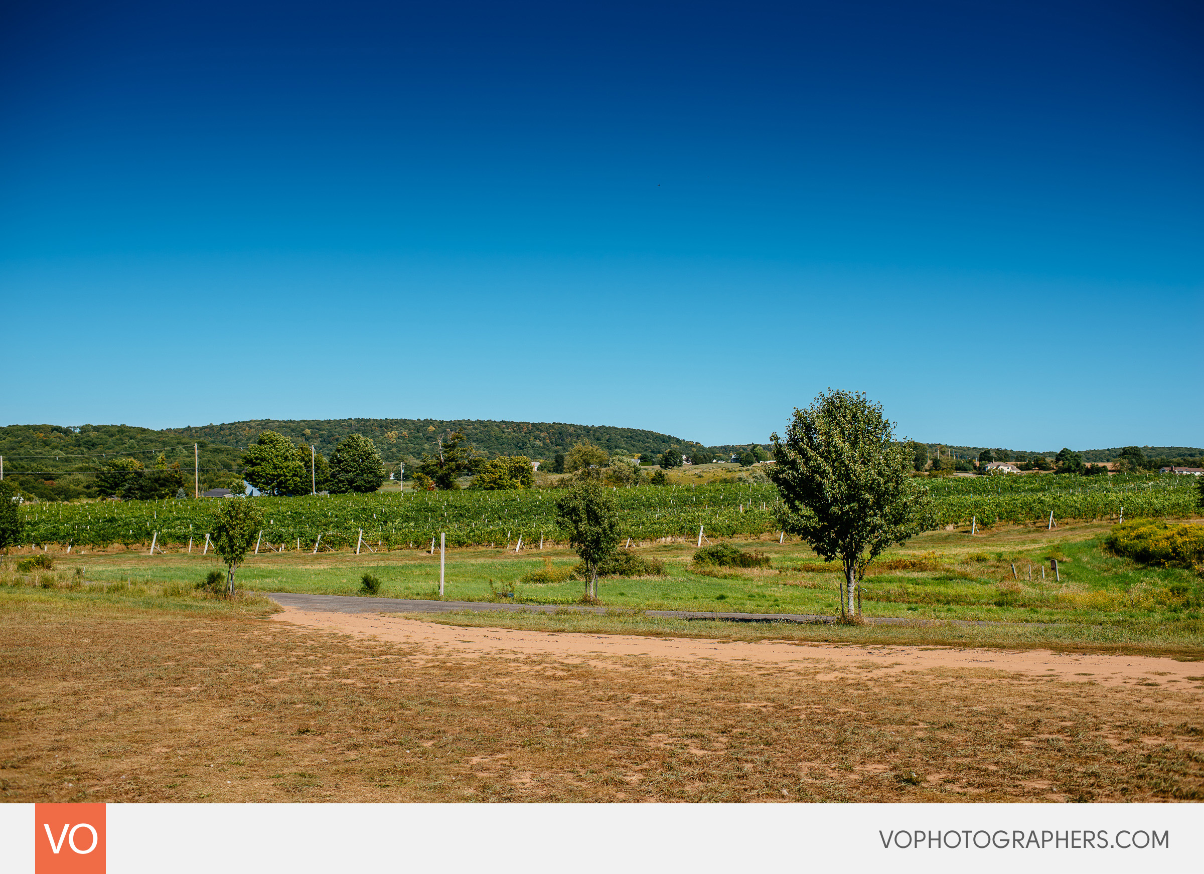 Gouveia Vineyard