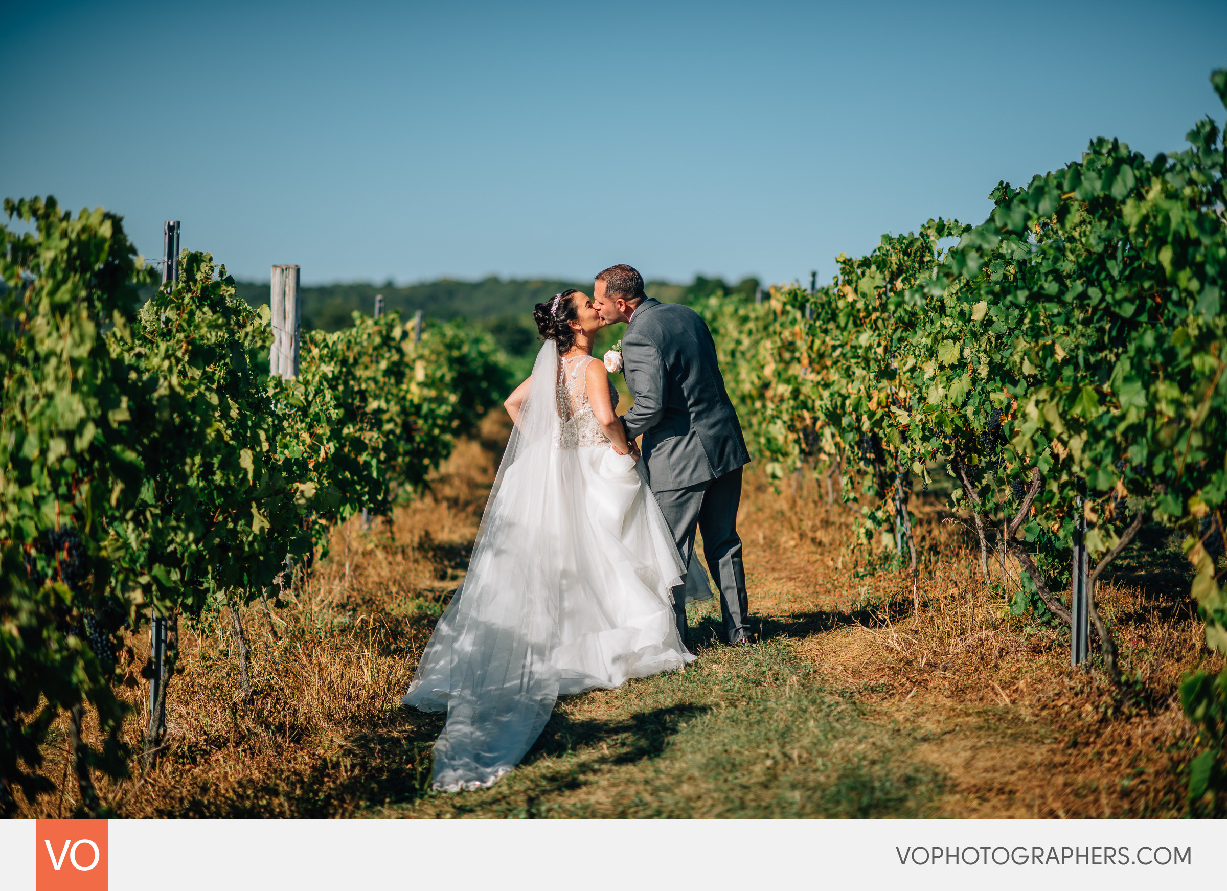 Kiss between the vines