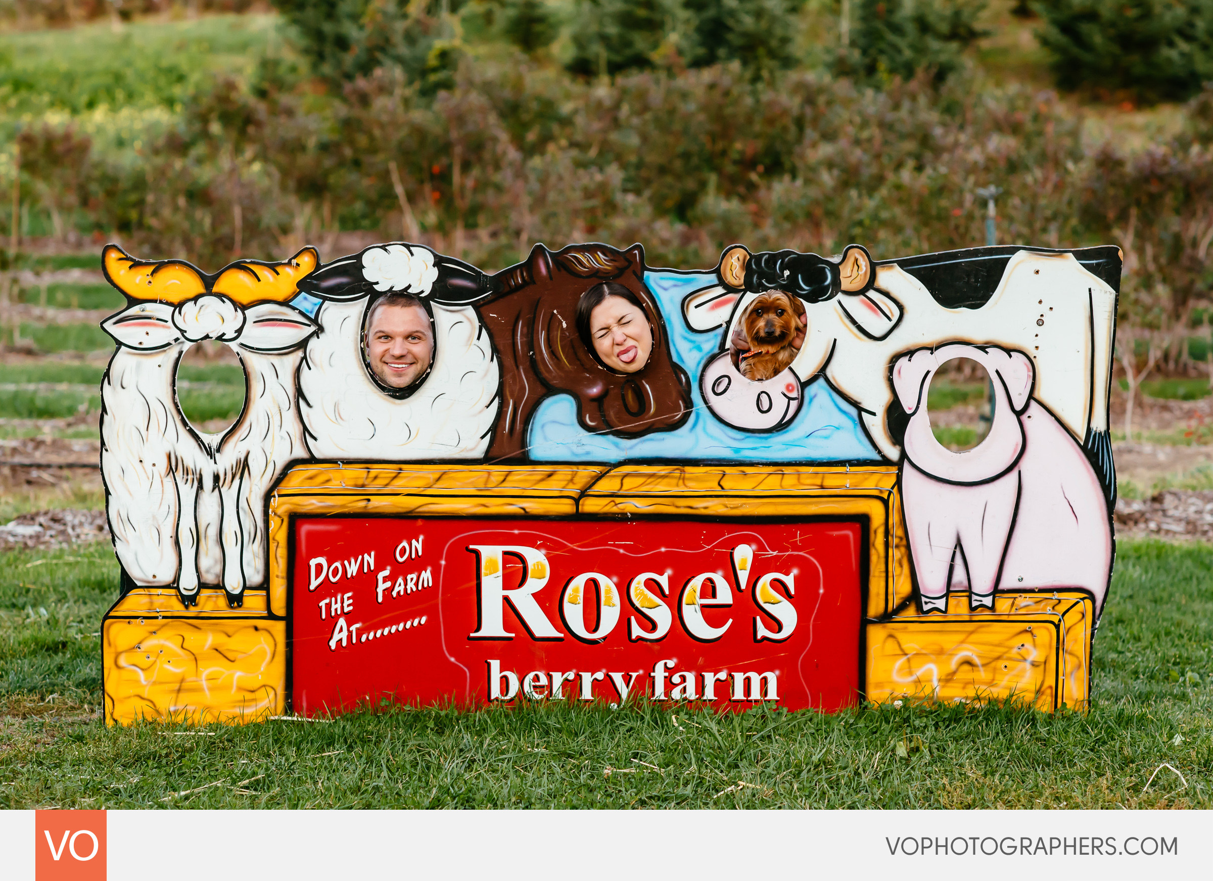 roses-berry-farm-glastonbury-engagement-0027