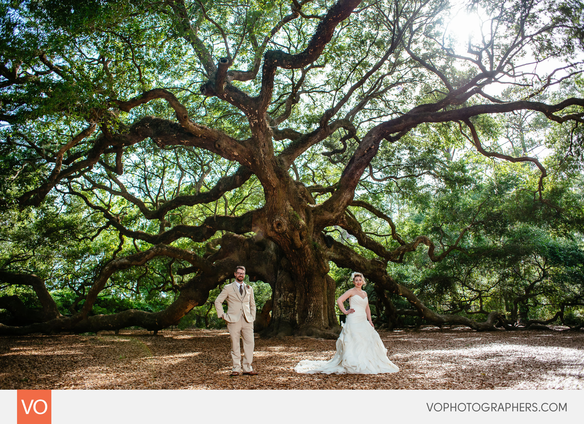 Magnolia Plantation South Carolina Wedding - Angel Oak Tree