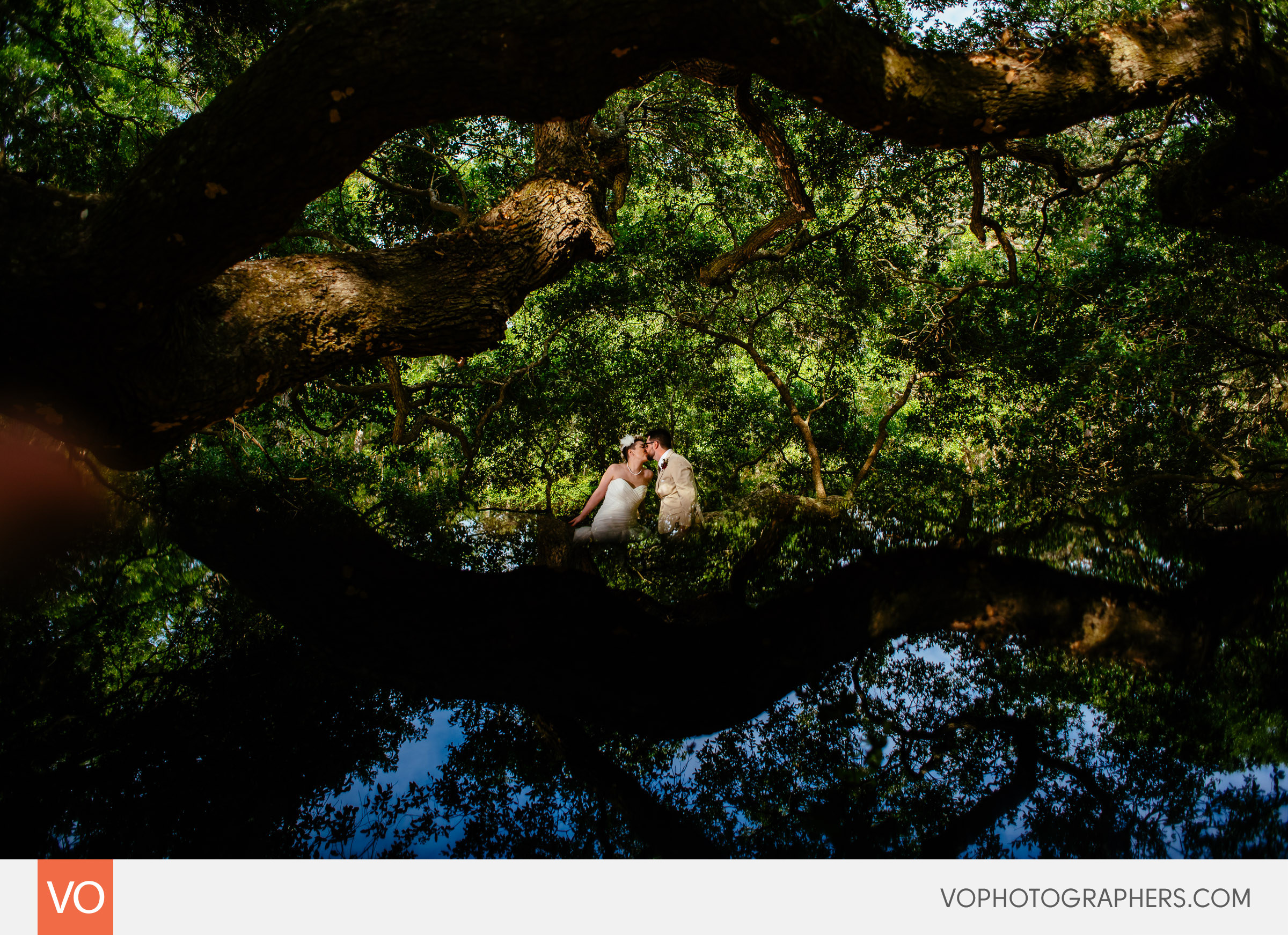 Magnolia Plantation South Carolina Wedding - Angel Oak