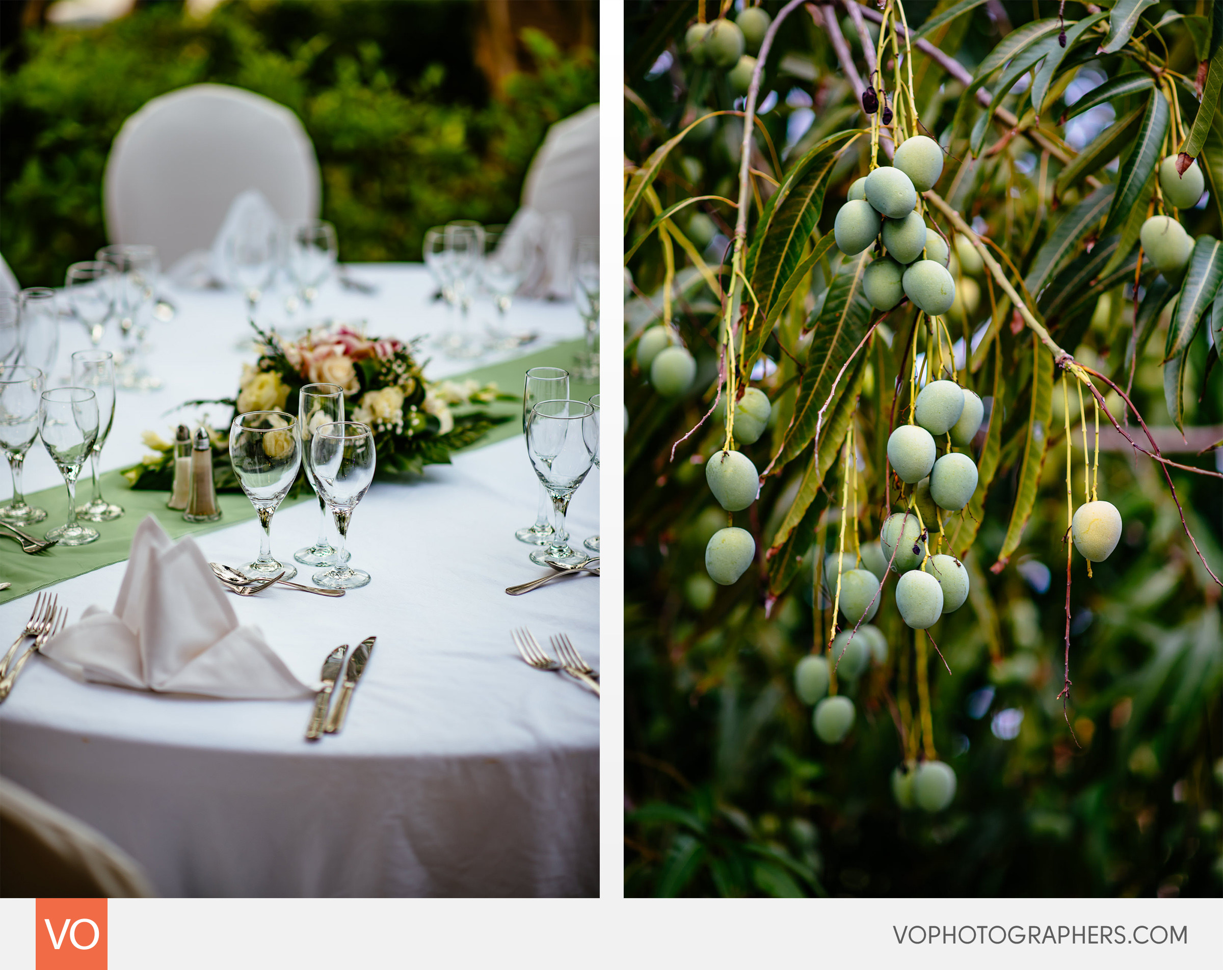 Majestic Colonial Punta Cana Dominican Republic Destination Wedding