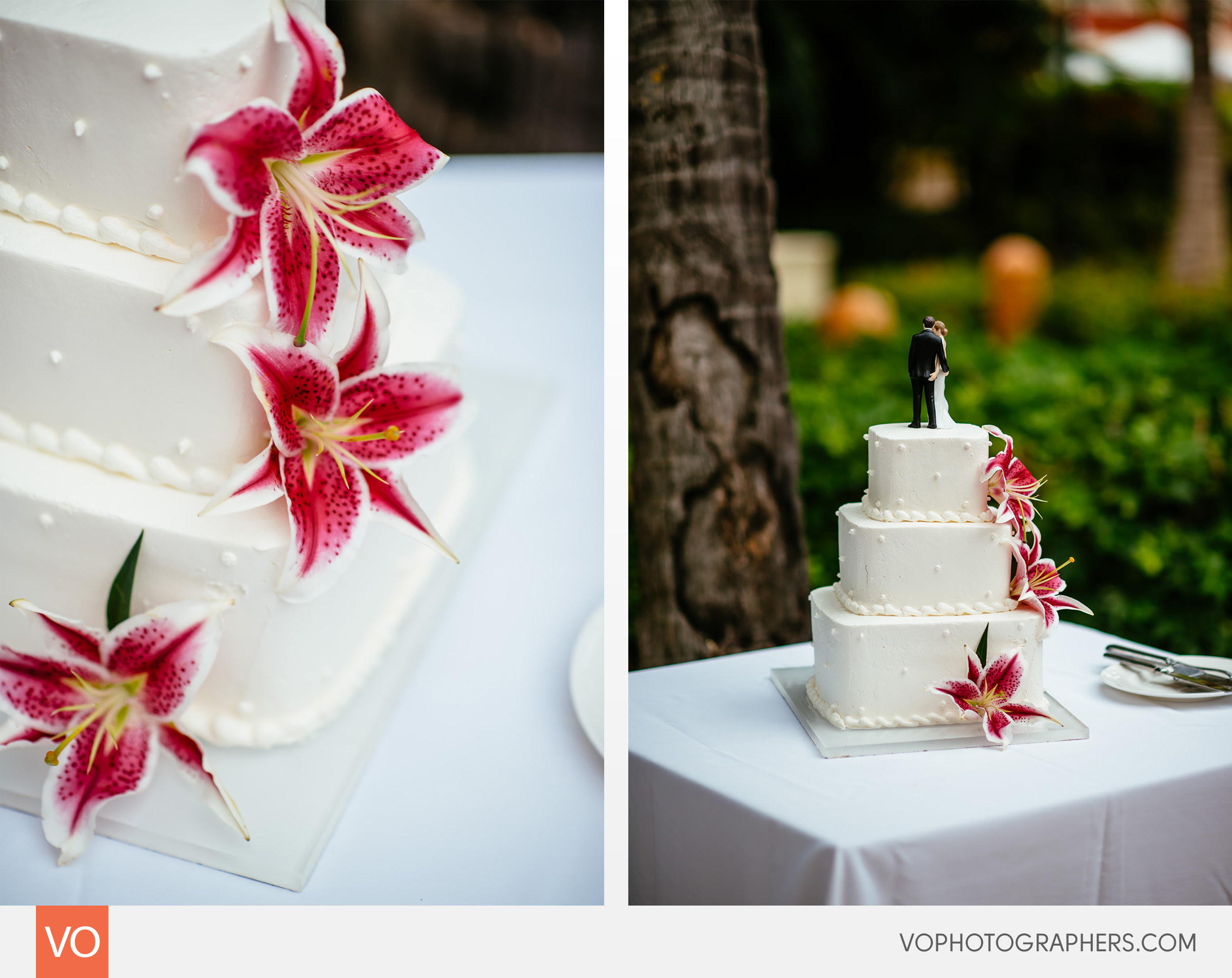 Majestic Colonial Punta Cana Dominican Republic Destination Wedding