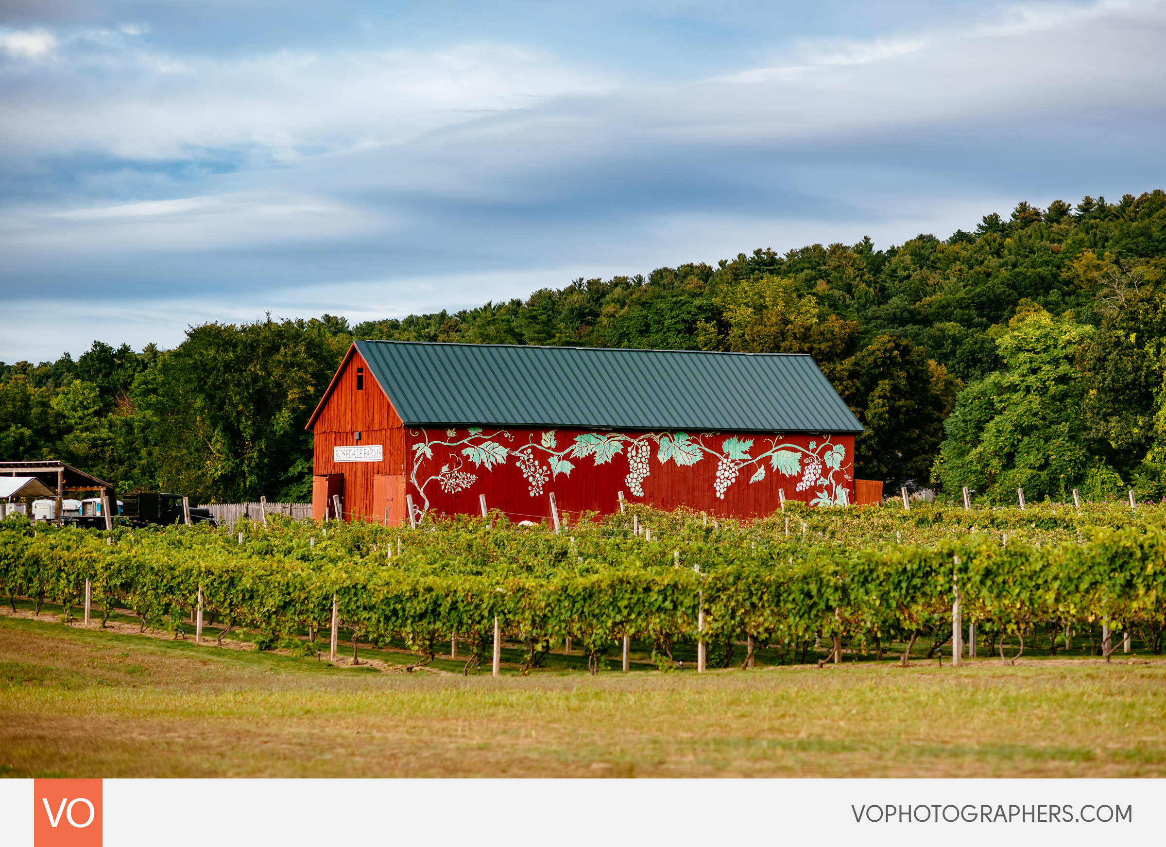 Rosedale Farms Engagement