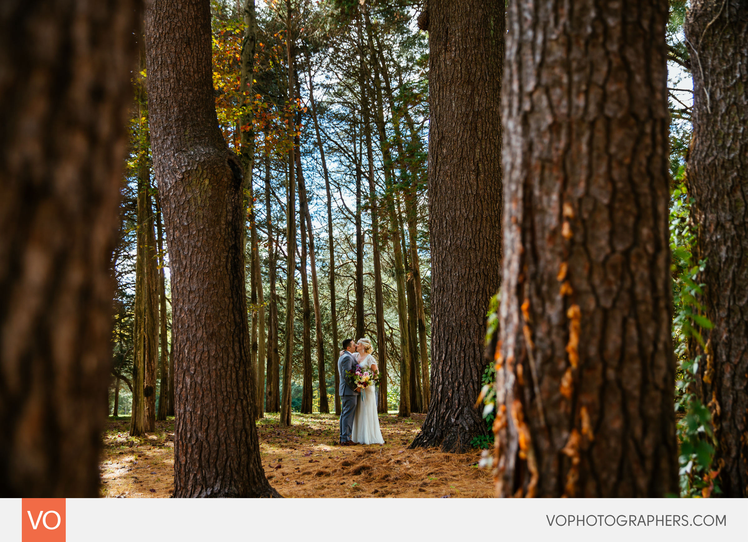 Wadsworth Mansion Wedding